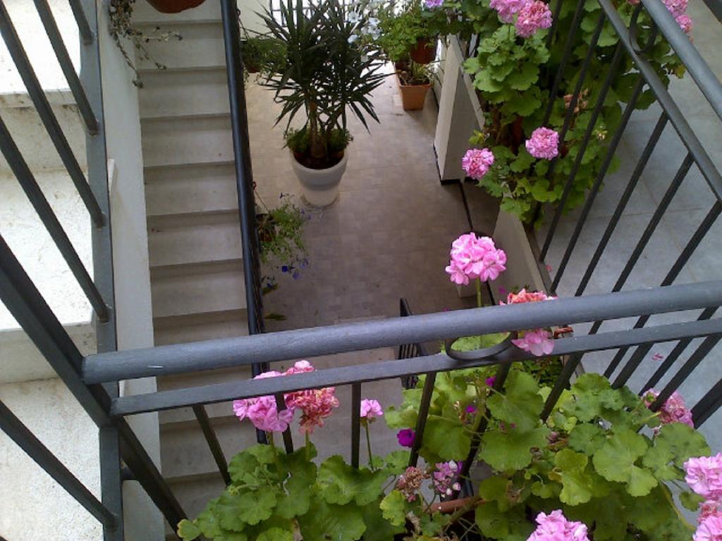 Couette-café Palazzo Diaz *